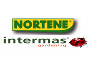 nortene